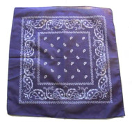 Lila Bandana Paisley Scarf Lila