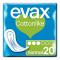 Normala dambindor med vingar Evax (20 uds)