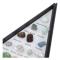 FHE-Mineral Rock Collection Kit för barn med transparent fodral
