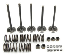 YAMAHA GRIZZLY 660 YFM660F 4WD 2002 2008 Cylinderhuvud Insug Avgasventil Kit Ersättning