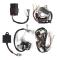 Aluminiumtråd Loom Harness CDI Switch Broms Spak Spole Kit Passar Yamaha Pw50 Dirt Bike