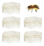 Plast drottningbi bur hexagon form drottningbi bur drottning märkning bur biodling avel kopp kit biodlare verktyg biodling utrustning 8 x 7 x 3 cm