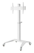 DELTACO Office Display Cart, 37"-70", 70kg, white