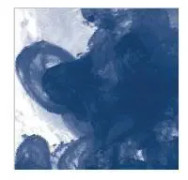 Daler Rowney FW Ink 29,5 ml Prussian Blue (Hue)