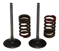 Prox Insugningsventil Kawasaki Kx250f 04-06 Rm-z250 04 Vcsis43352