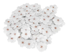 DIY Kreativitetskit, 100 st Broderade Applikationer För Klädreparation, Torkade Pressade Blommor I Starka Färger Perfekt För Scrapbooking Utsmyckning Och