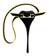 Finis Posture Trainer