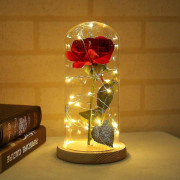 Presentrosa lampa