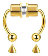 Falsk näspiercing ring magnet septum näspiercing hästsko rostfritt