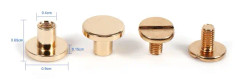 10 set 5/6,5/8 mm massiva mässingsknappar skruvspik skruvrygg för lädernitbälte DIY guld