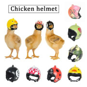 FlkwoH Husdjur Kycklinghjälm Liten Husdjur Huvudskydd Husdjur Fågel Kreativ Hatt Huvudskydd