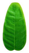 1 st Hawaii värmebeständig bordsunderlägg bananblad halkfri vattentät matbord matta för hem kök restaurang (grön)（58.00X28.50X0.10CM，grön）