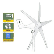 3000W Liten Vindkraftverk Generator, 5 Blad, 12V/24V/48V Vindkraft,Med Mppt-kontroll, 1000W, 12V