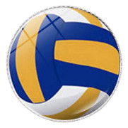Fint utformad rugbybrosch