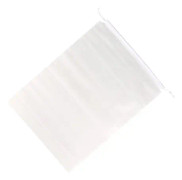 INF Transparenta icke-vävda förvaringspåsar (10-pack) Transparent