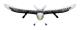 Fjärrkontroll AircraftFX-651 2.4G Wingspan Eagle Fjärrkontroll Flygplan Radiokontroll EPP Foam Flygplan Glider Fjärrkontroll Plane Glider för poj