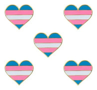 5-pack Bisexuell stolthet hjärtformade knappnålar broscher flaggmärke brosch