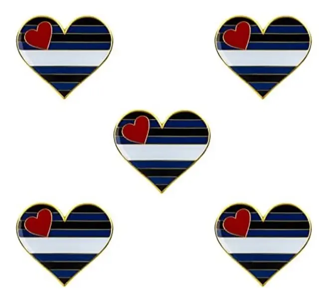 5-pack Bisexuell stolthet hjärtformad knappnålsbrosch pins flagga badge brosch märken