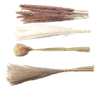 minifinker torkat rörgräs minifinker Torkat Pampas gräs Fluffigt naturligt torkat Pampas gräs 15 deco small
