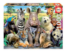 Educa - It's a Class Photo 1000-bitar