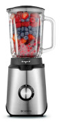 Champion Blender 600W Rostfritt stål