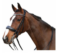 HorseGuard Ergo Kandarträns med tyglar - Cob