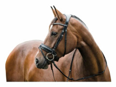 HorseGuard Ergo Träns Engelskt Läder Svart - Ponny