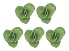 Shengji 5pcs Mini Farm Props Miniature Vegetable Model Simulation Tiny Greeny Vegetables