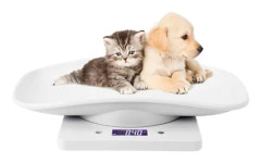 Elektronisk husdjursvåg, liten digitalvåg, 10 kg/1 g LCD-displayvåg precisionsmätverktyg vägning för kök kattunge valpar sköldpadda hamster
