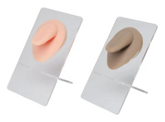 2 Set Piercing Practice 3D-simulerad silikontungmodell Återanvändbar tungmodell med stativ för smyckesvisning