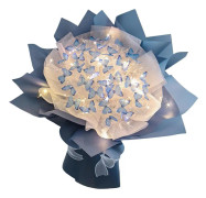 Butterfly Bukett Kit med 52st LED String Lights