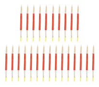 Biodlingslarver Ympningsnål Set - 25st - Bee Queen Rearing Tool