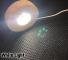 Tr? LED-ljusdisplay Bas Kristallglas Resin Art Ornament White Light