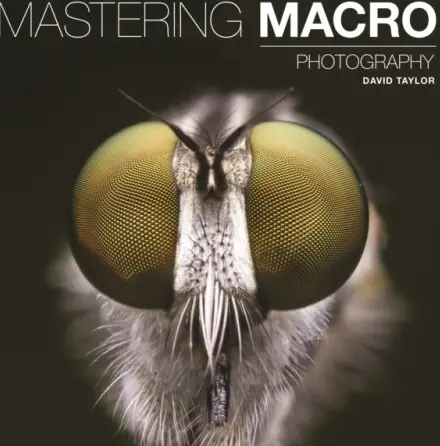 Mastering Macro Photography