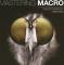 Mastering Macro Photography