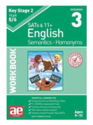 KS2 Semantics Year 5/6 Workbook 3 - Homonyms