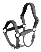 Br Fedde Halter Cob