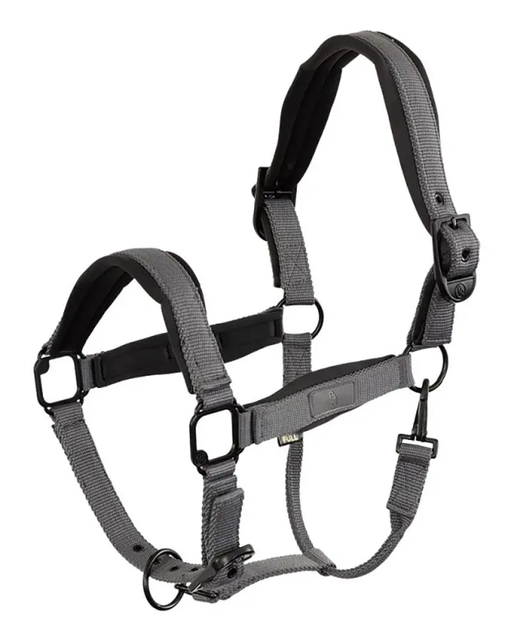 Br Fedde Halter Cob