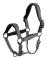 Br Fedde Halter Cob