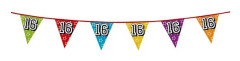 Boland 16th Birthday Bunting