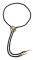Bristol Novelty Cowboy Bootlace Tie One Size Svart/Mässing Black/Brass One Size
