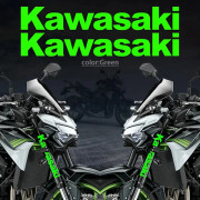 3D-klistermärken för motorcykel för Kawasaki Ninja z900 z1000 z800 z750 z650 Ninja400 Ninja650 z400 2019 2020 2021 2022
