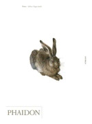 Durer (häftad, eng)