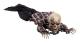 Krypande Skelett Halloween