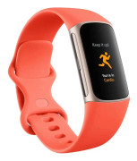 Fitbit Charge 6 Champagne Gold - Aluminum Case