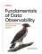 Fundamentals of Data Observability