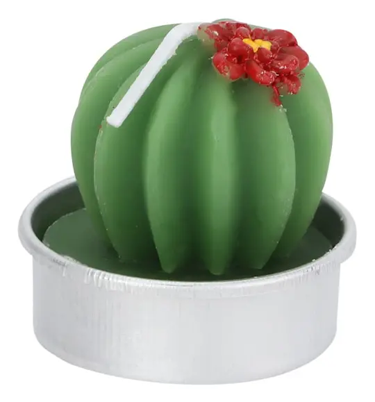 6 st Succulent Ljus Kaktus Tealight Ljus för Hemfest Födelsedag Bröllopsdekoration