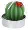 6 st Succulent Ljus Kaktus Tealight Ljus för Hemfest Födelsedag Bröllopsdekoration