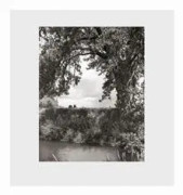 Robert Adams: Cottonwoods
