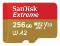 SanDisk / #1